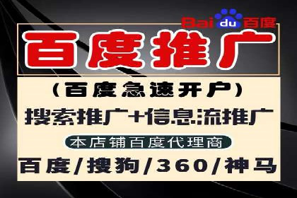 某品牌SEM广告投放效果全解析